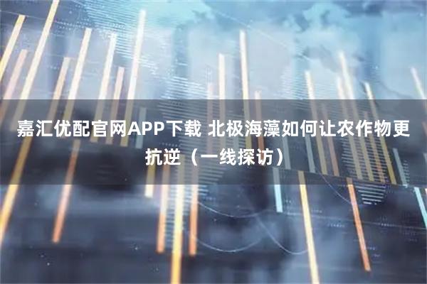 嘉汇优配官网APP下载 北极海藻如何让农作物更抗逆（一线探访）