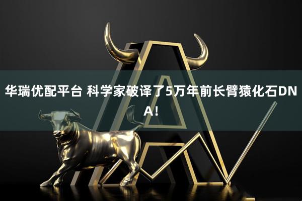 华瑞优配平台 科学家破译了5万年前长臂猿化石DNA！