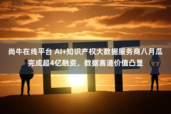 尚牛在线平台 AI+知识产权大数据服务商八月瓜完成超4亿融资，数据赛道价值凸显