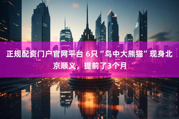 正规配资门户官网平台 6只“鸟中大熊猫”现身北京顺义，提前了3个月